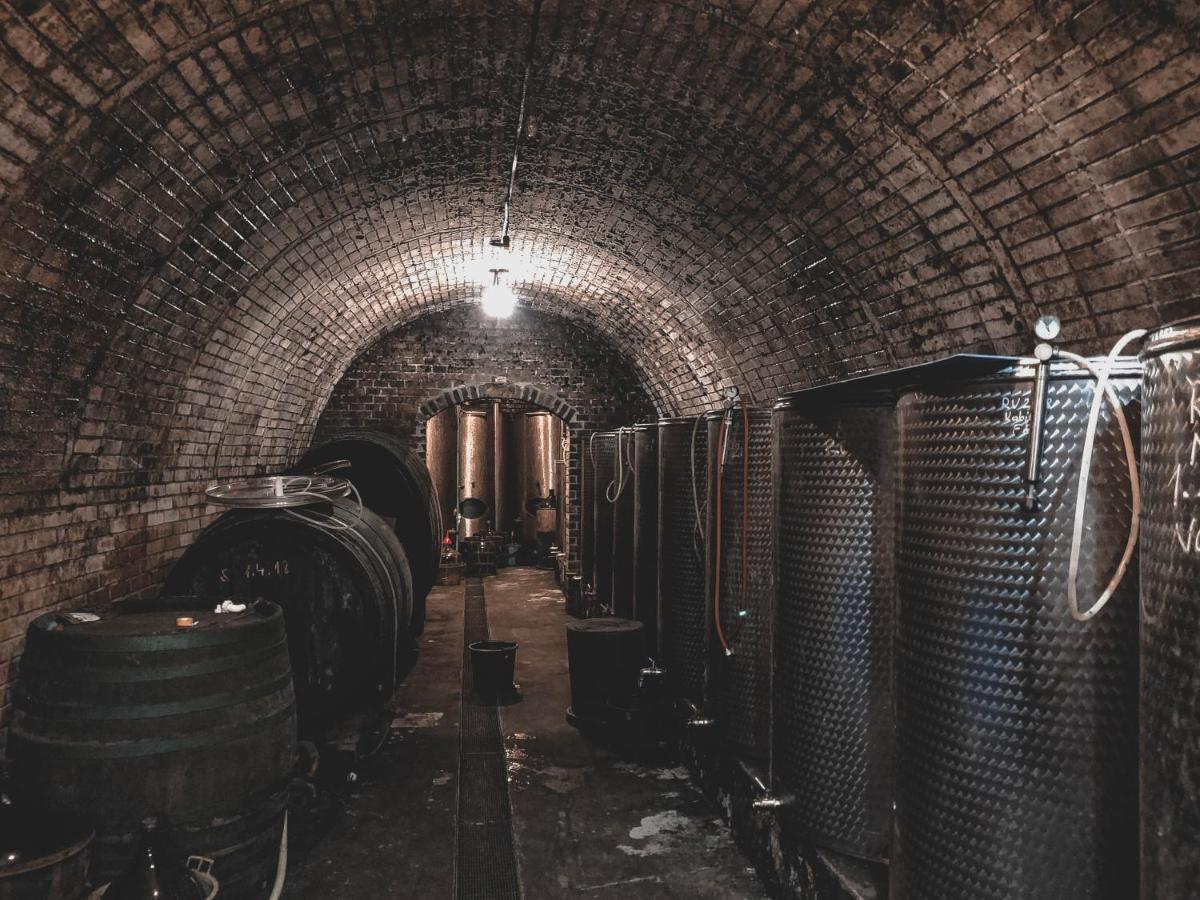 Vinox Winery Villa Ipolynyék Kültér fotó