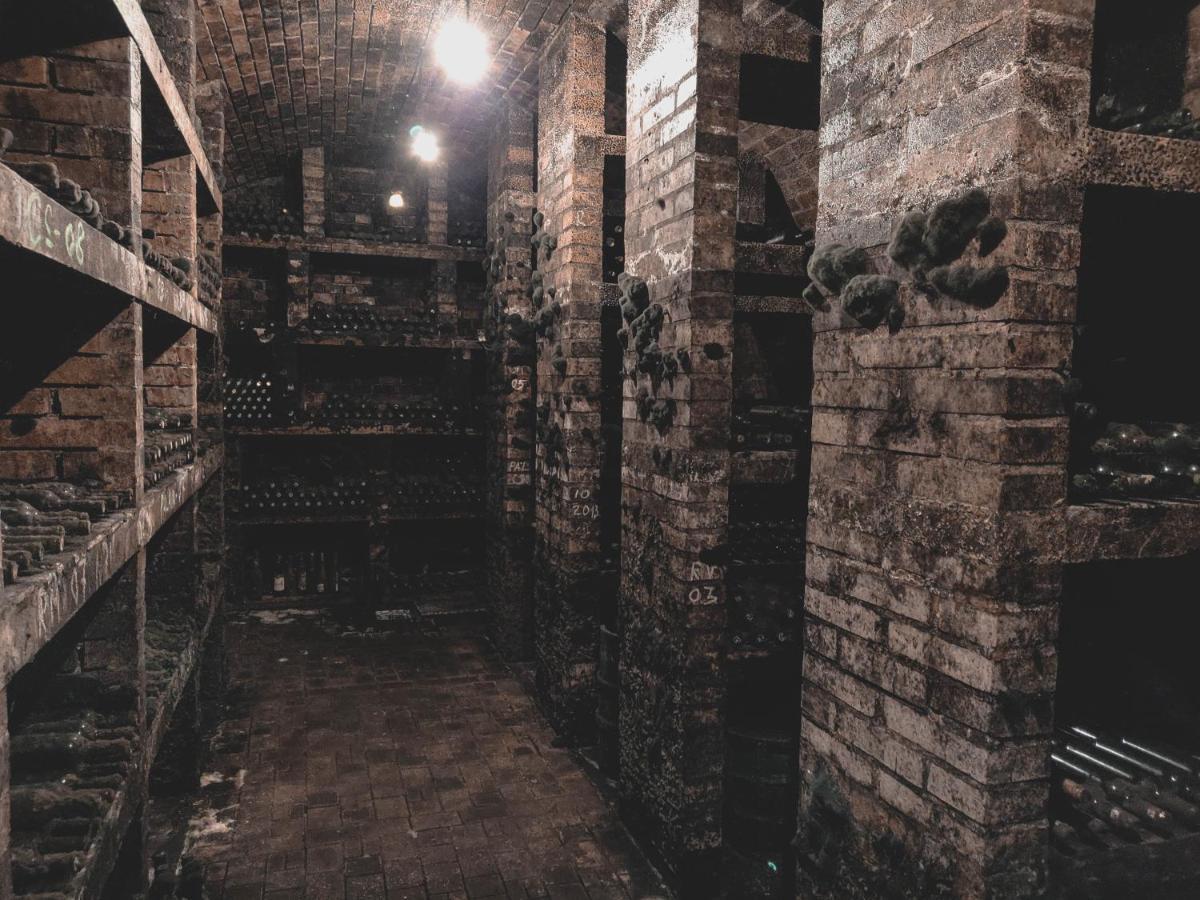 Vinox Winery Villa Ipolynyék Kültér fotó
