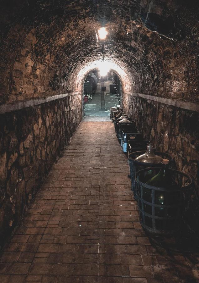 Vinox Winery Villa Ipolynyék Kültér fotó